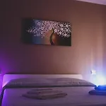 B&B Metro